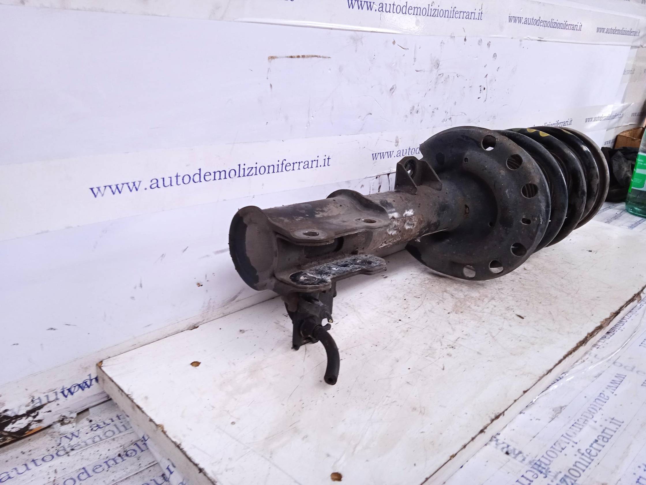 Ammortizzatore ant. sx.